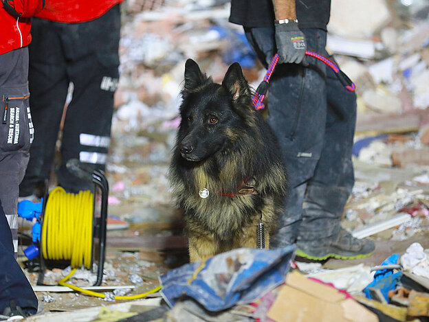 Rettungshund und Helfer zwischen Trümmern