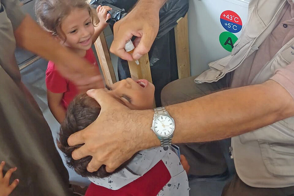 Junge erhält Polio-Impfung im IKRK-Feldkrankenhaus in Rafah