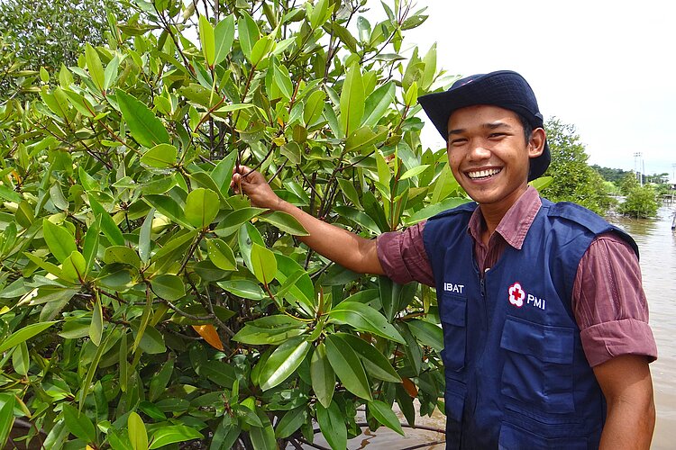 Rotkreuzhelfer präsentiert ausgewachsene Mangrove
