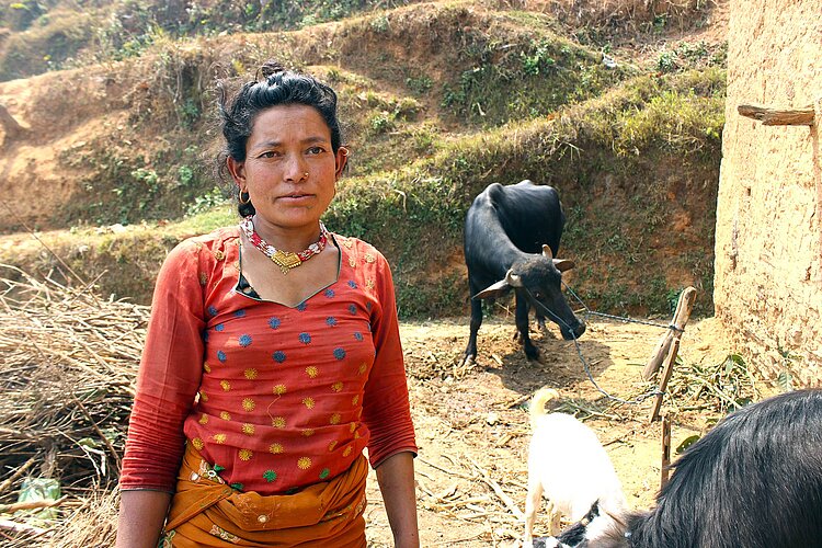 Nepalesin mit Bulle im Hintergrund