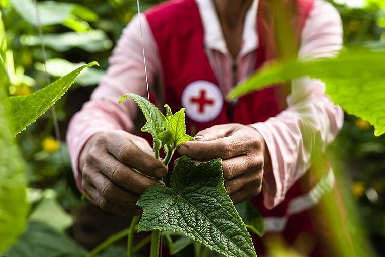 Nachhaltigkeit im DRK Nachhaltigkeit im DRK