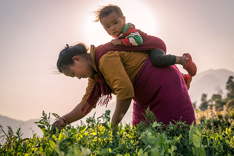 Nepal: Ernährungssicherung Mutter mit Kind auf Rücken bei Feldarbeit